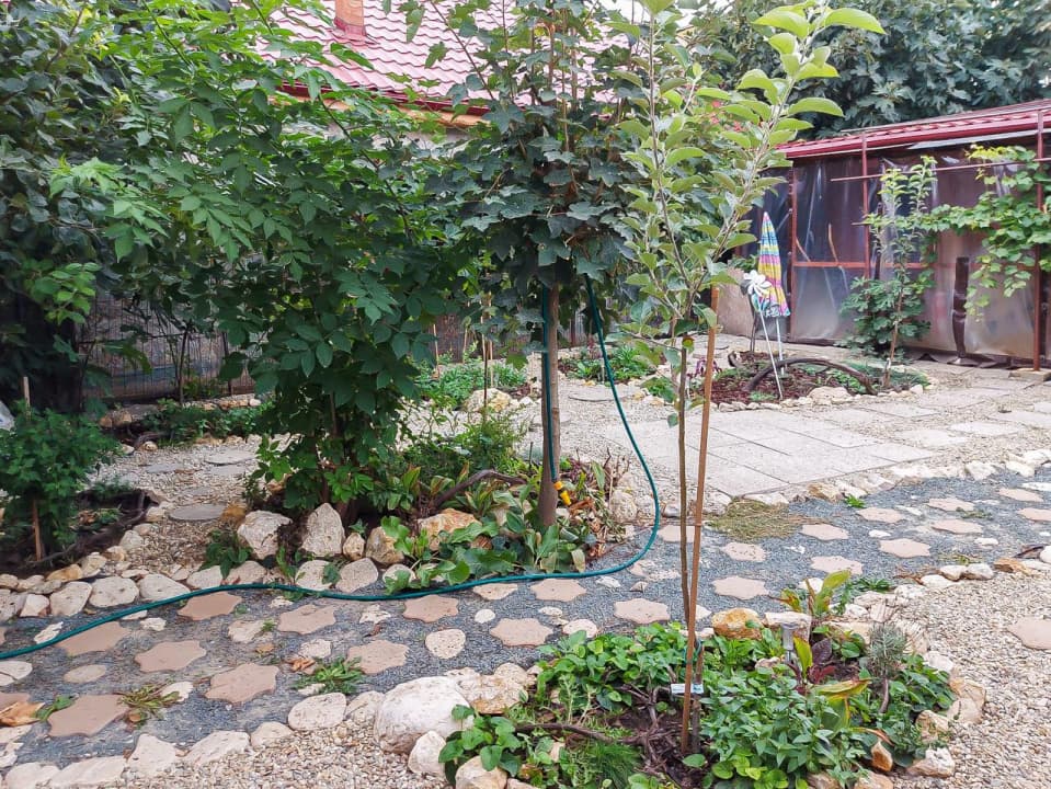Casă 4 camere în Eforie Sud – la 200 m de plajă — fotografie a proprietății 3